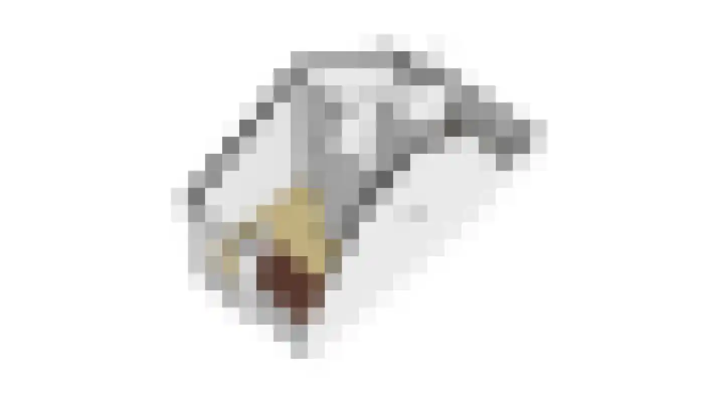 Burgwal 33 A Den Burg thumbnail 52