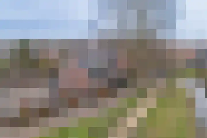 Burgwal 34 Enkhuizen thumbnail 11