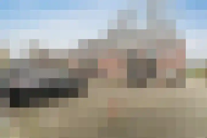 Burgwal 34 Enkhuizen thumbnail 42