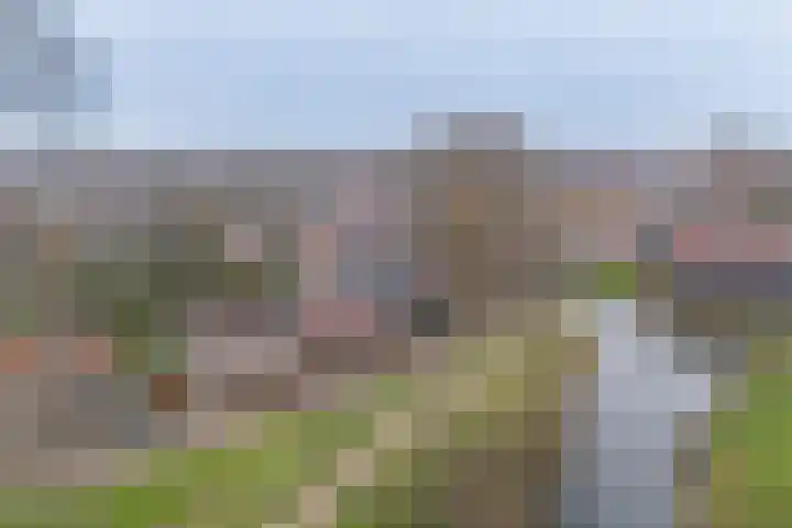 Burgwal 34 Enkhuizen thumbnail 50