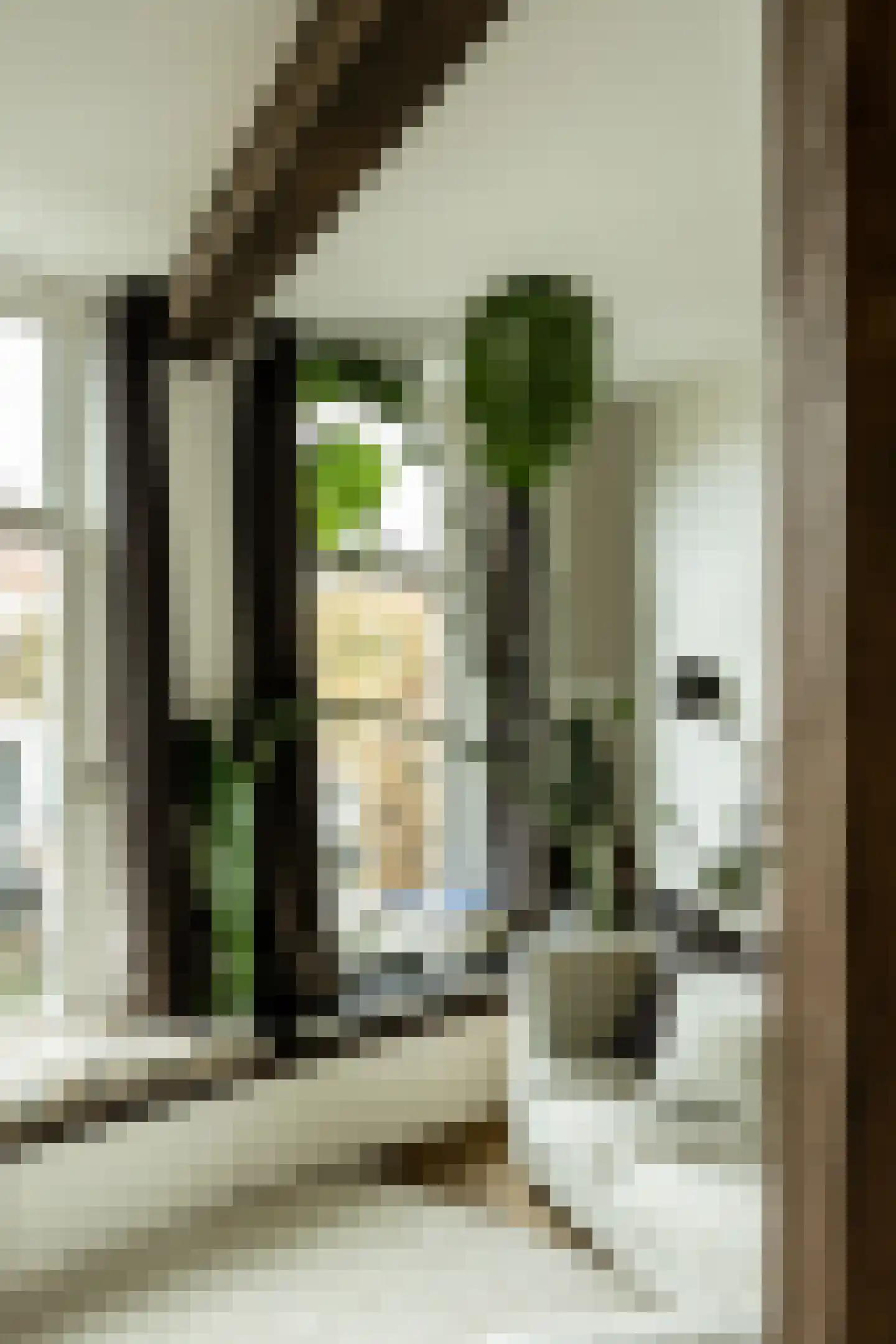 Burgwal 35 A Haarlem thumbnail 20