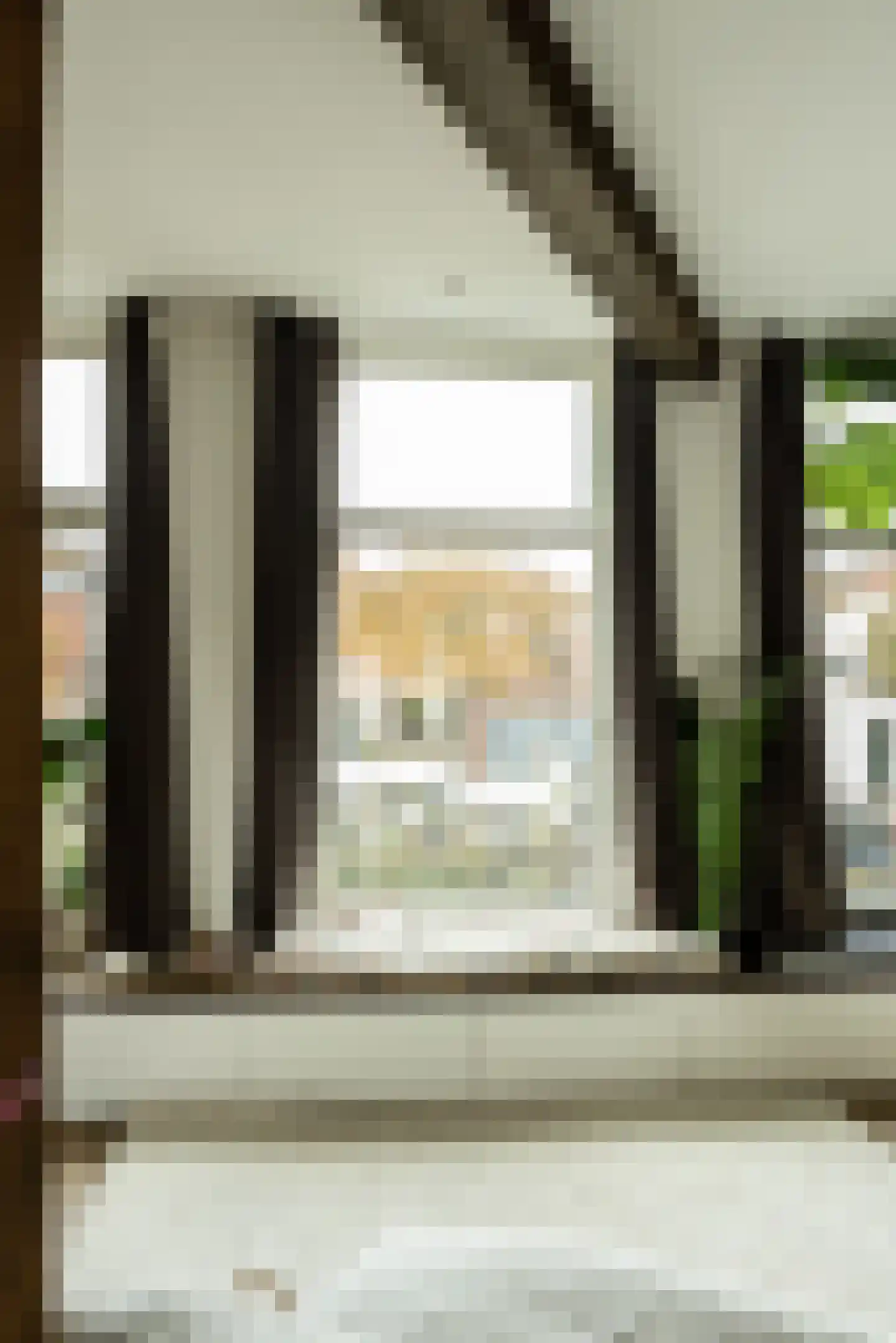 Burgwal 35 A Haarlem thumbnail 24
