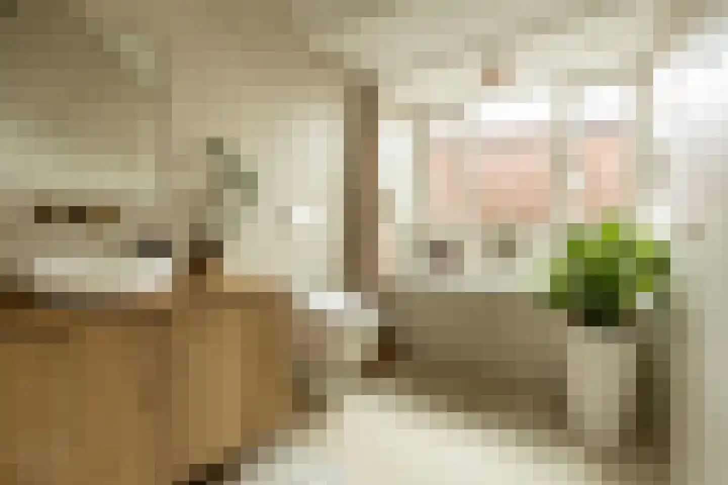 Burgwal 35 A Haarlem thumbnail 38