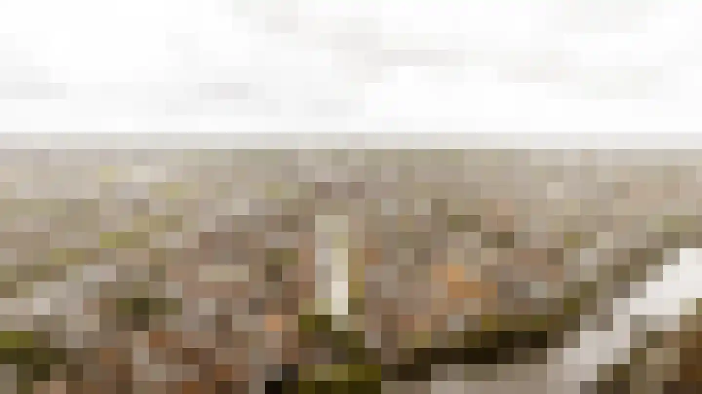 Burgwal 35 A Haarlem thumbnail 5