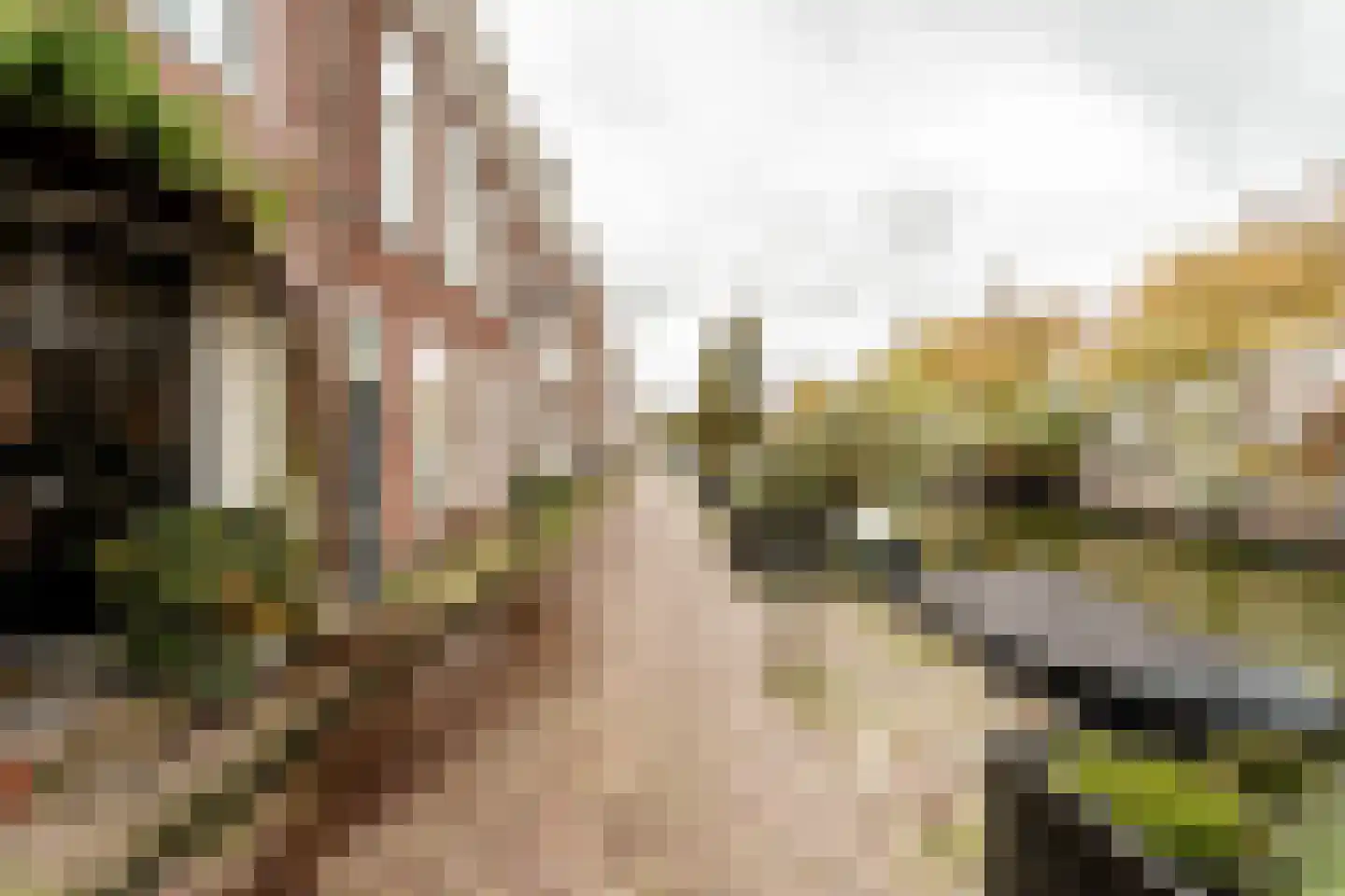 Burgwal 35 A Haarlem thumbnail 55