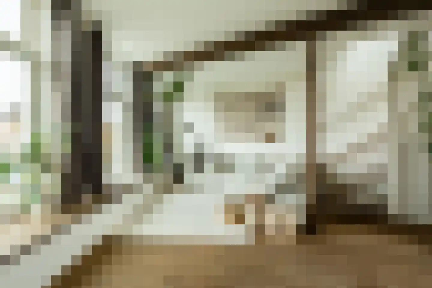 Burgwal 35 A Haarlem thumbnail 9