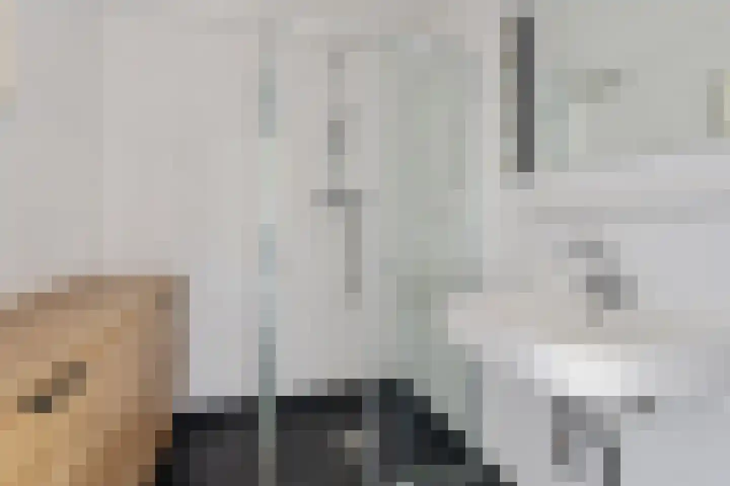Burgwal 40 Oss thumbnail 10