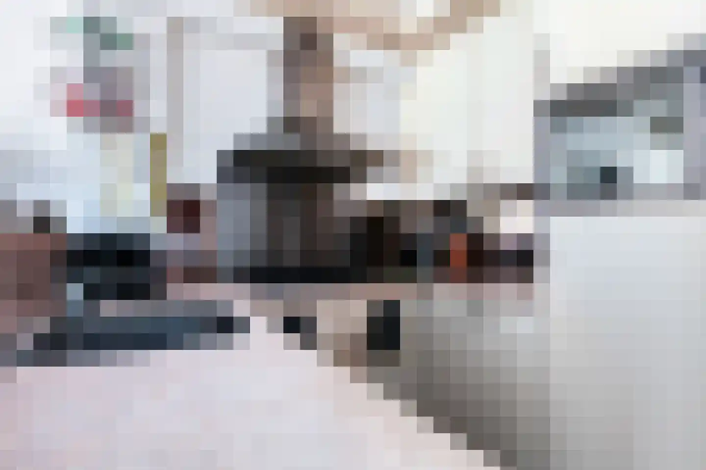 Burgwal 40 Oss thumbnail 11