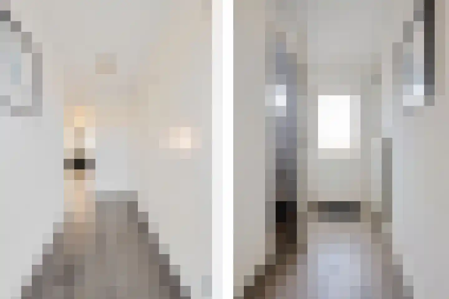 Burgwal 40 Oss thumbnail 11