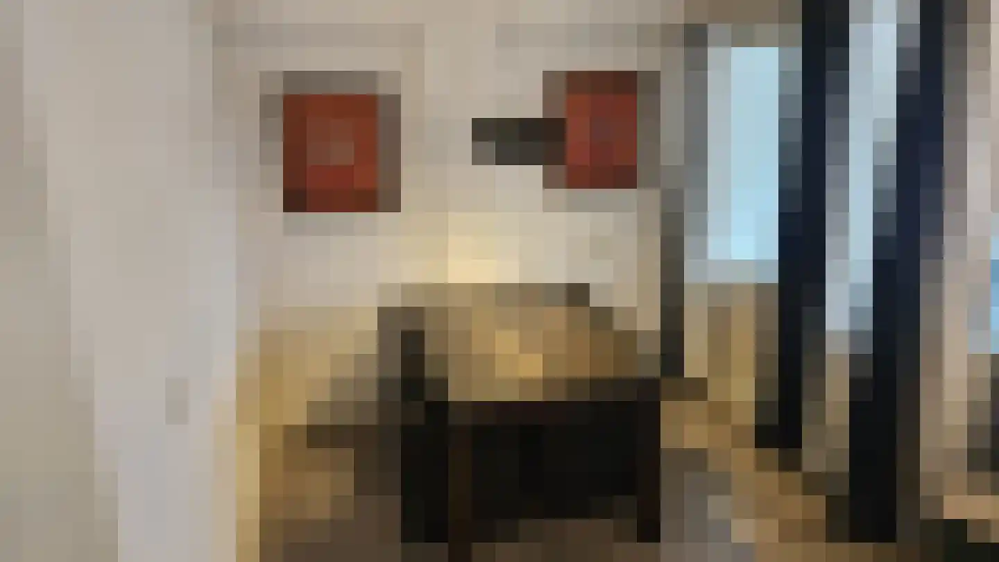 Burgwal 40 Oss thumbnail 12
