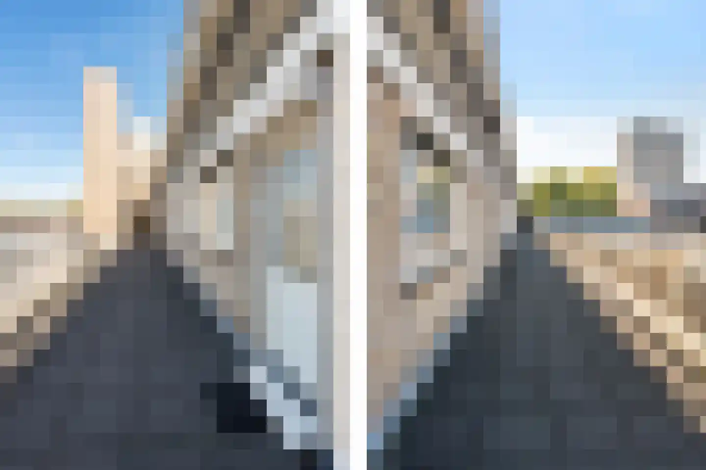Burgwal 40 Oss thumbnail 16