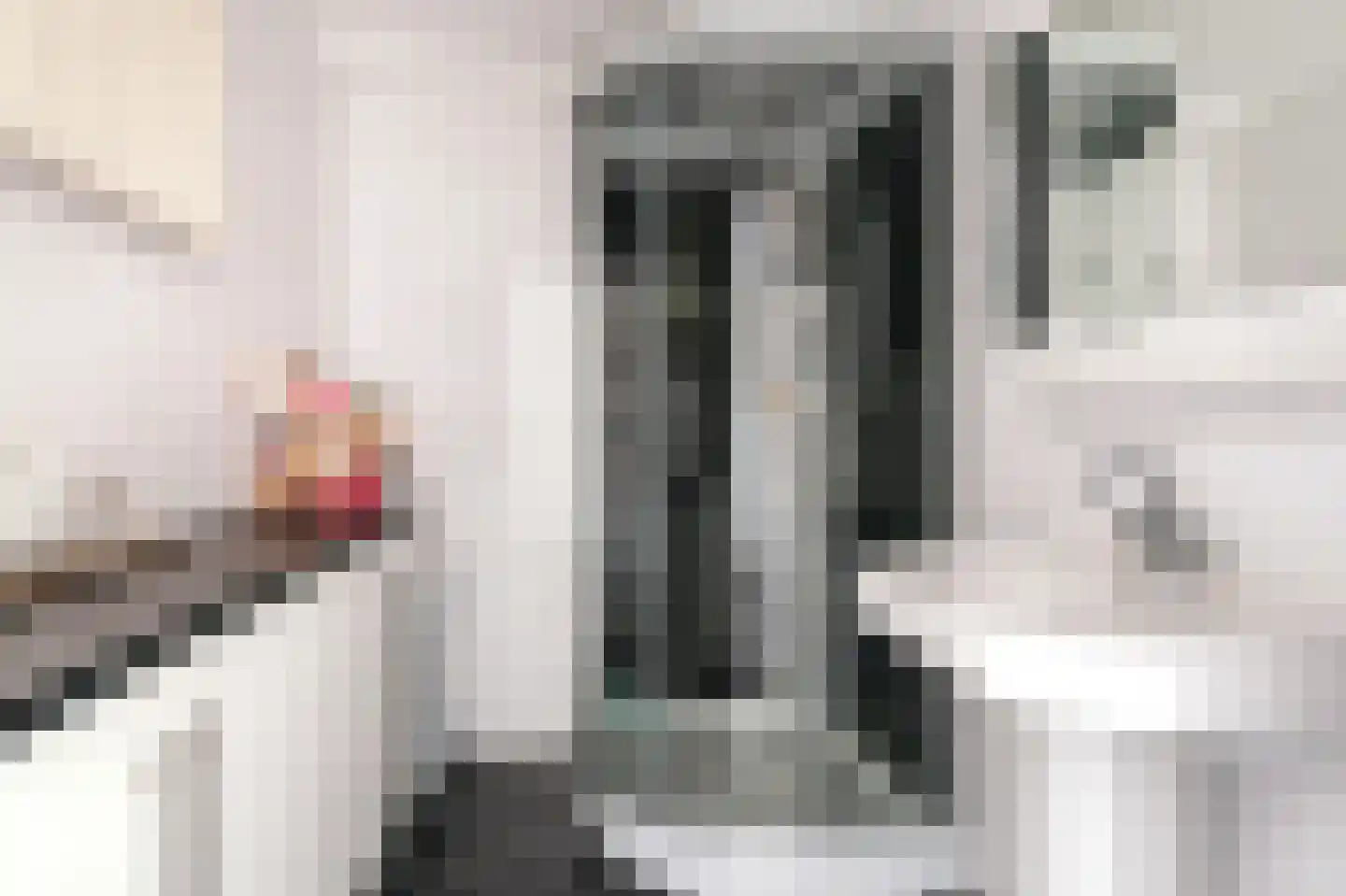 Burgwal 40 Oss thumbnail 18