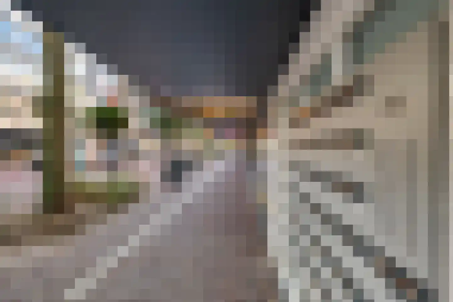 Burgwal 40 Oss thumbnail 19