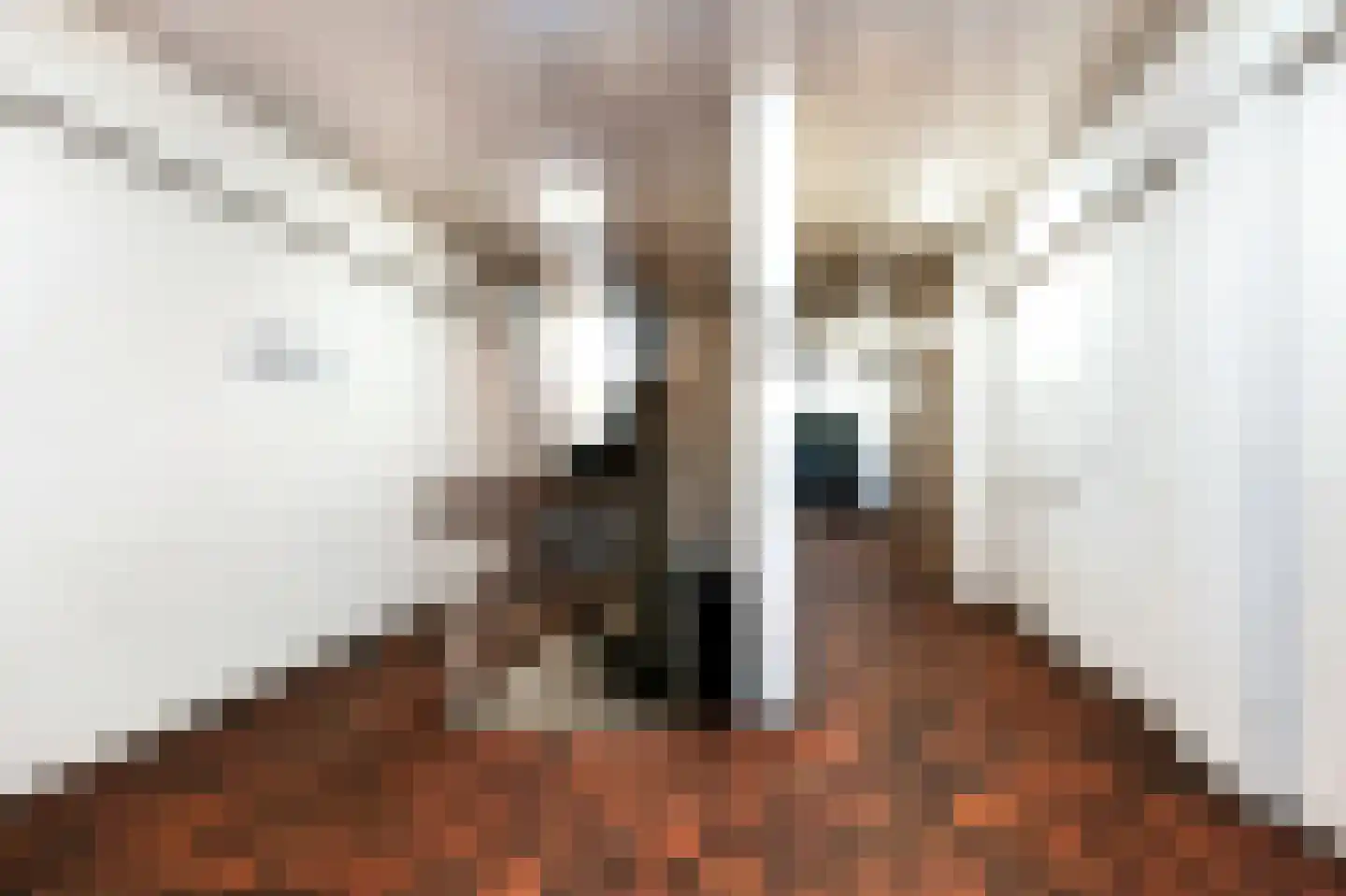 Burgwal 40 Oss thumbnail 22