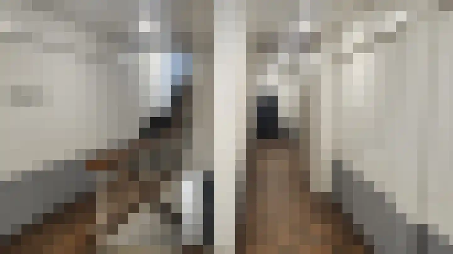 Burgwal 40 Oss thumbnail 23