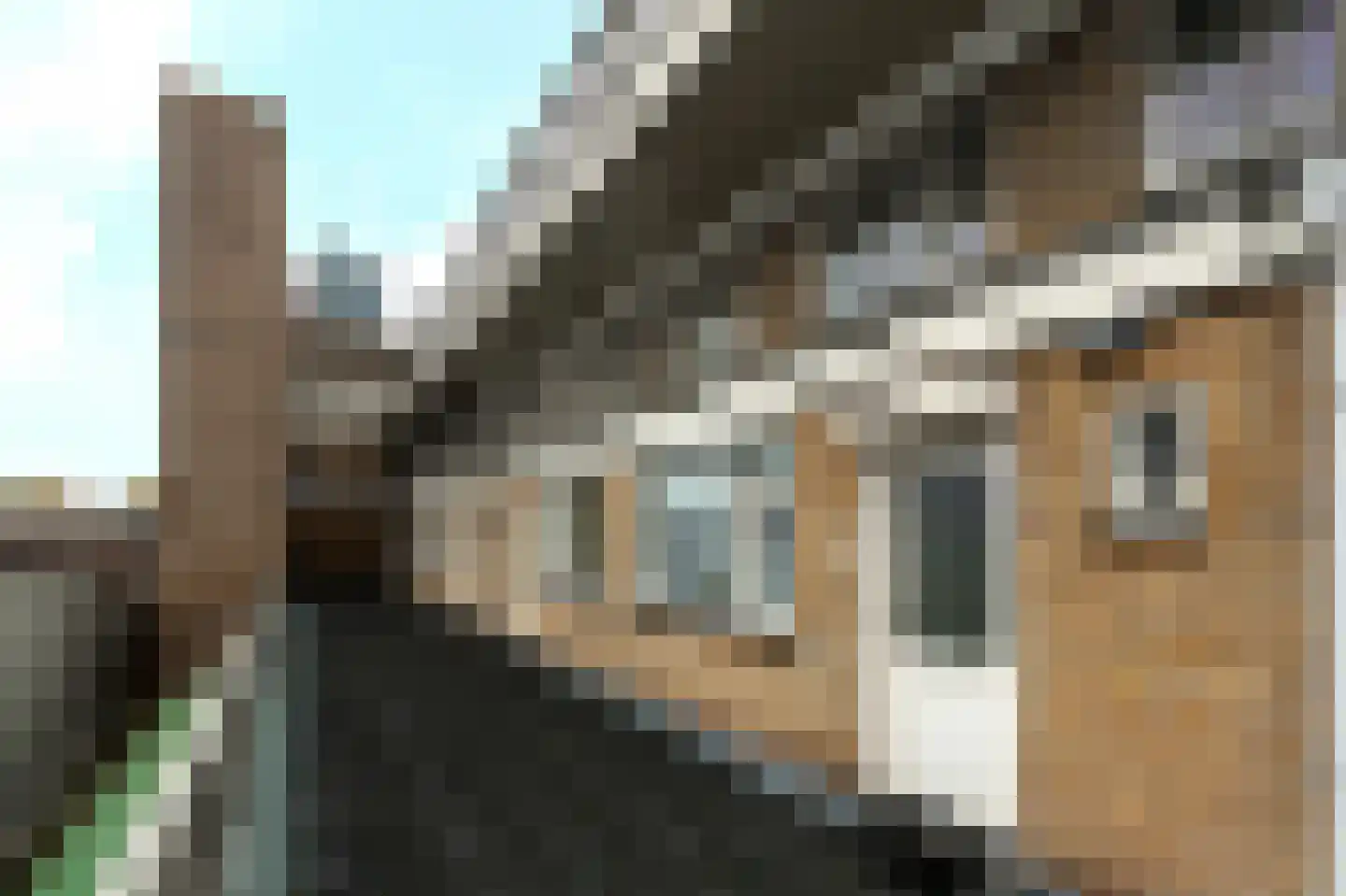 Burgwal 40 Oss thumbnail 24