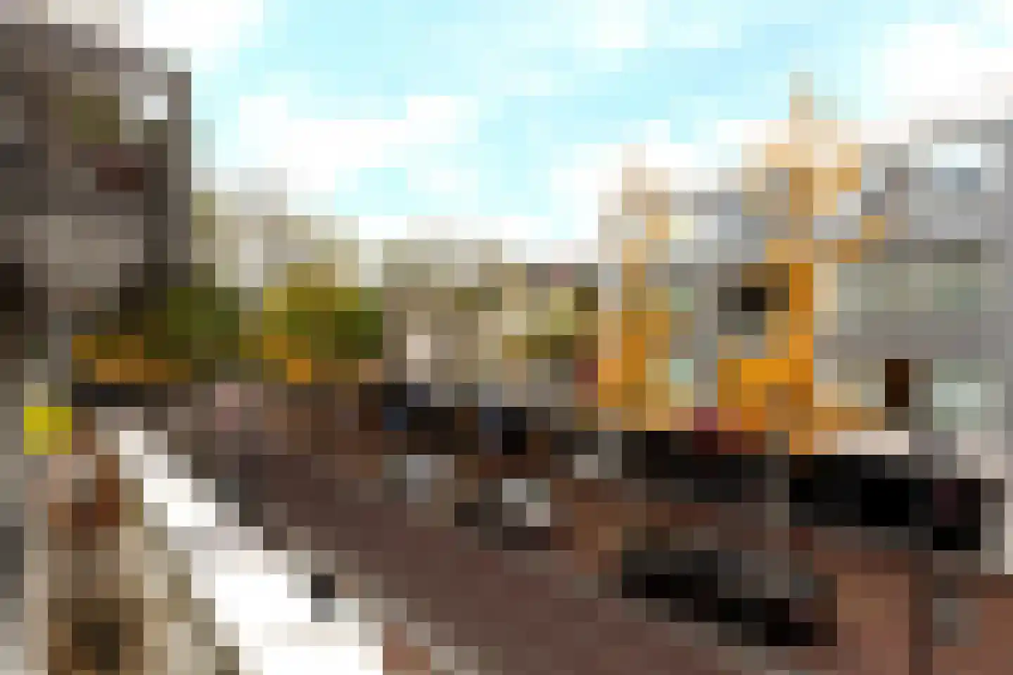Burgwal 40 Oss thumbnail 26