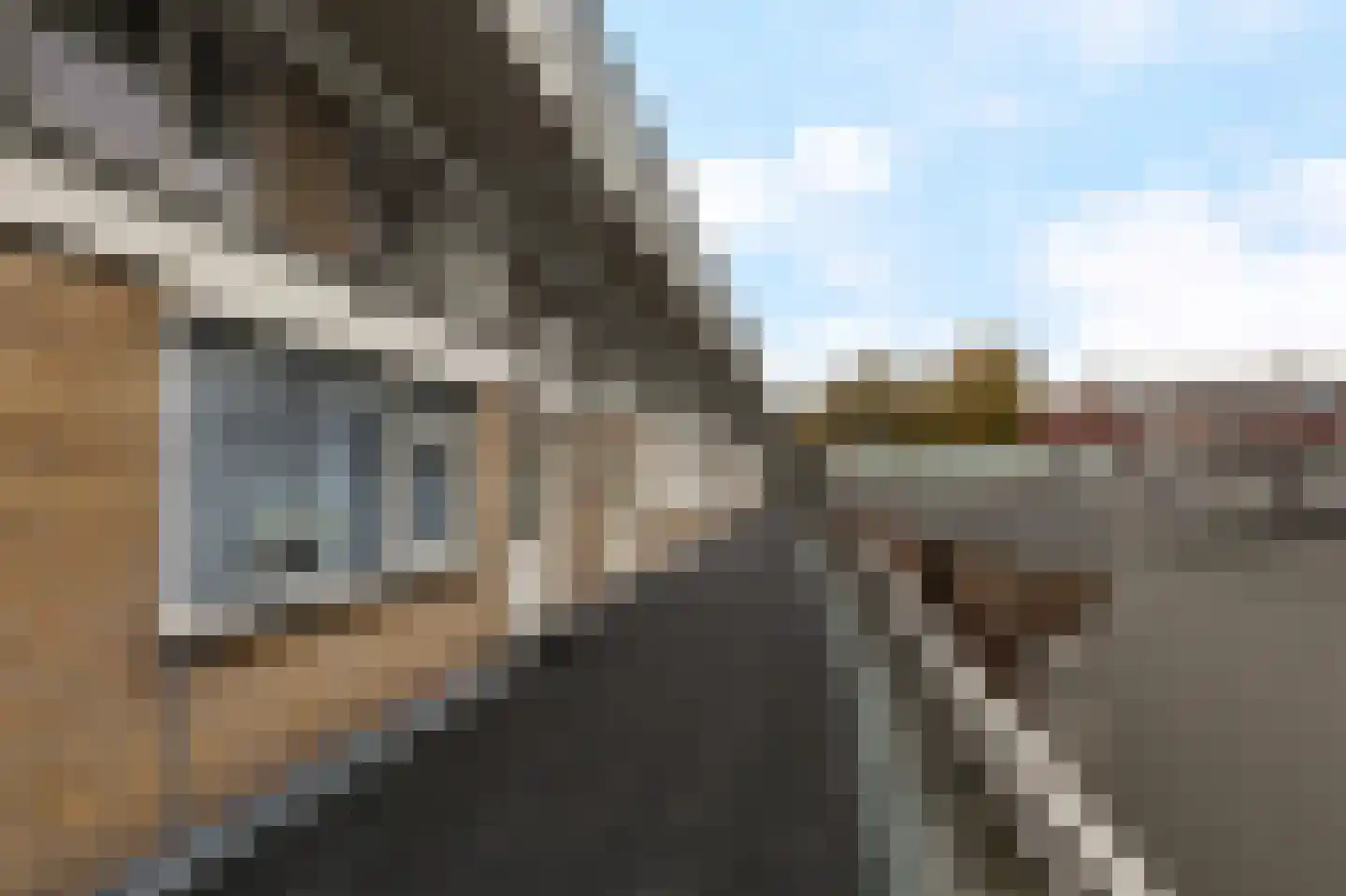 Burgwal 40 Oss thumbnail 30