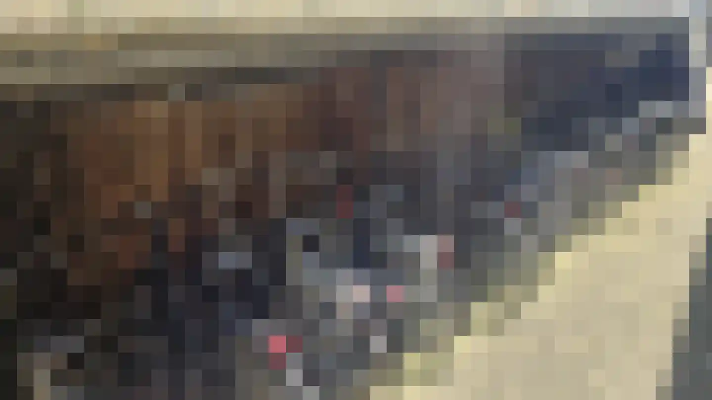 Burgwal 40 Oss thumbnail 31