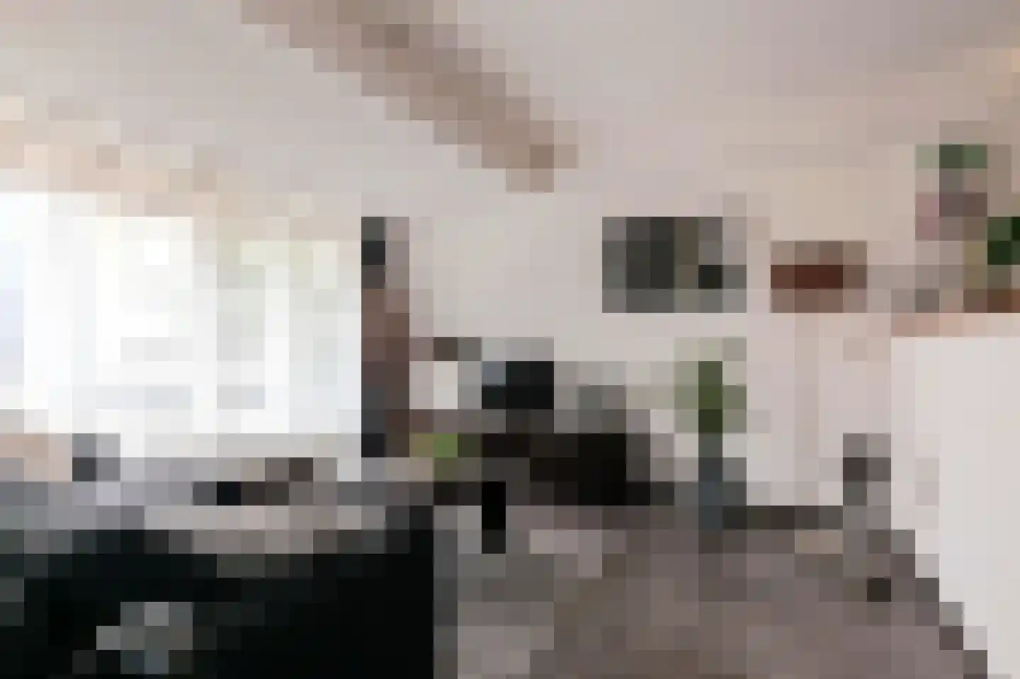 Burgwal 40 Oss thumbnail 8