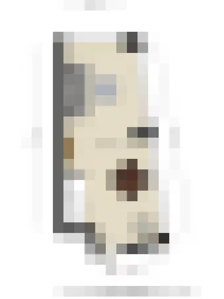 Burgwal 41 A Kampen thumbnail 8