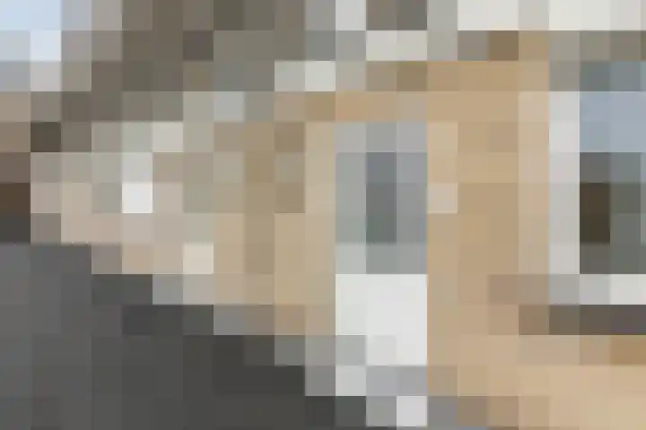 Burgwal 42 Oss thumbnail 10