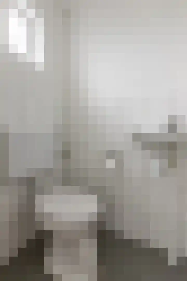 Burgwal 42 Oss thumbnail 12