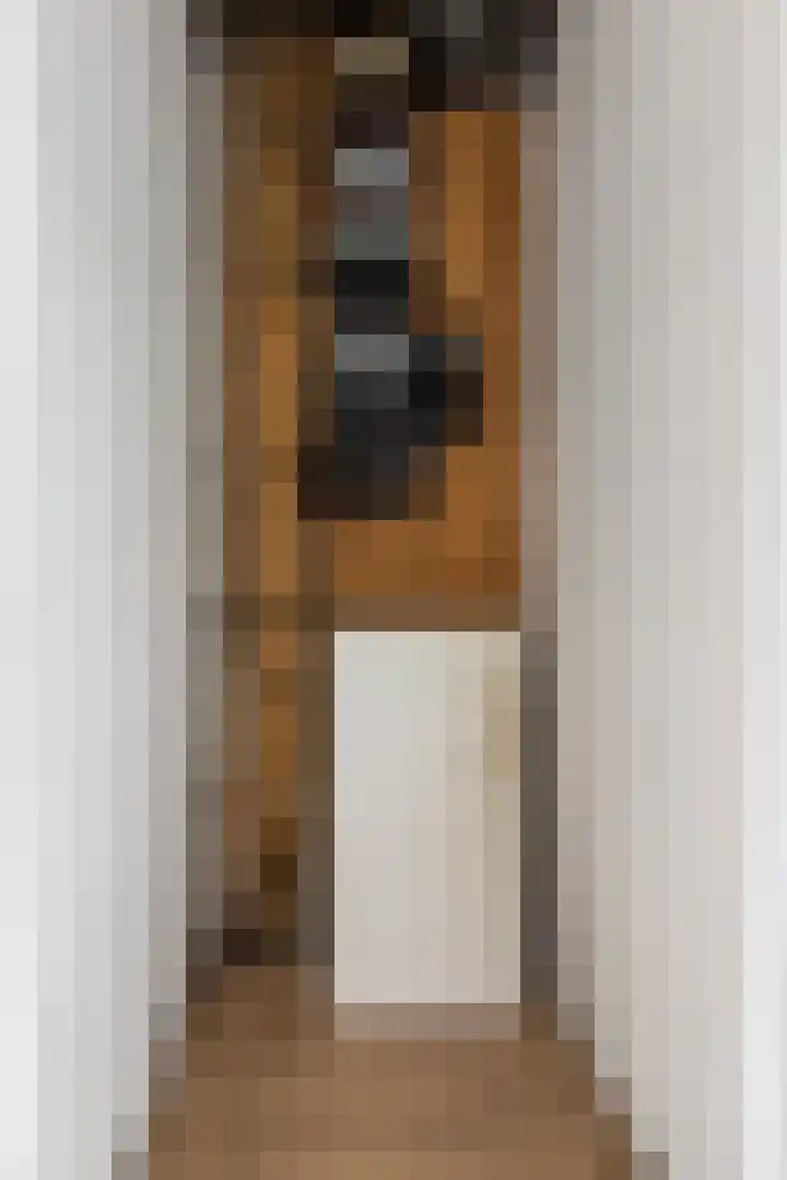 Burgwal 42 Oss thumbnail 13