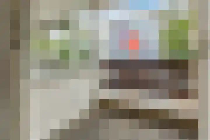 Burgwal 42 Oss thumbnail 17