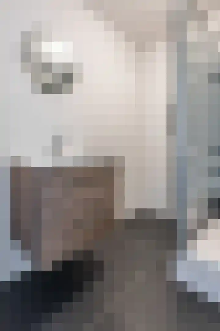 Burgwal 42 Oss thumbnail 23