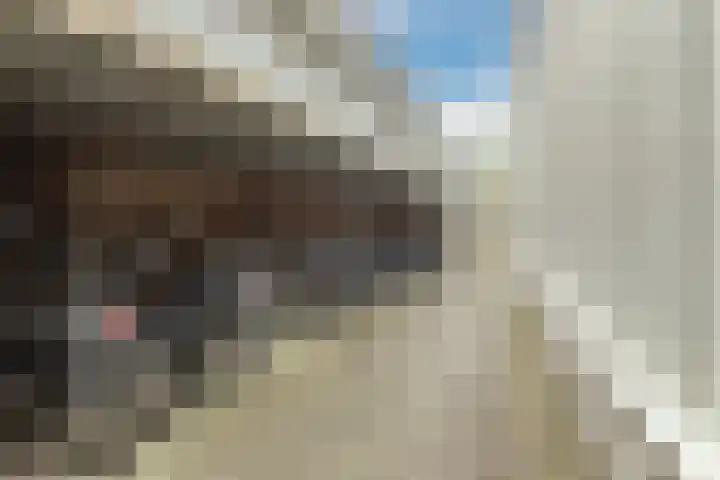 Burgwal 42 Oss thumbnail 29