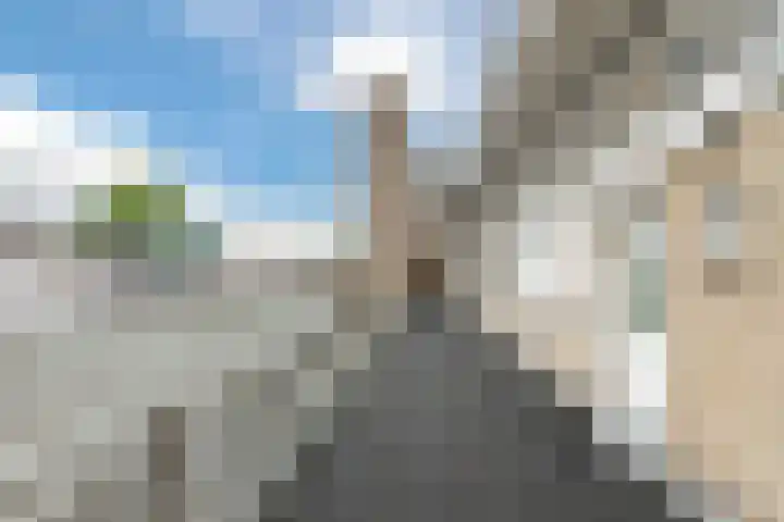 Burgwal 42 Oss thumbnail 9