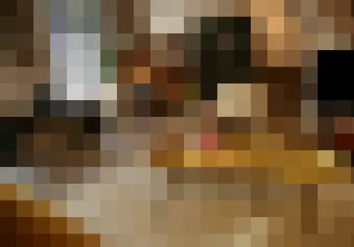 Burgwal 43 Den Burg thumbnail 10