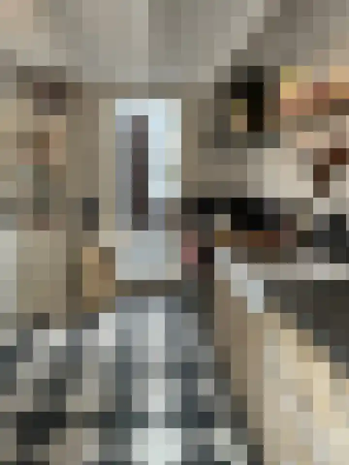 Burgwal 43 Den Burg thumbnail 11