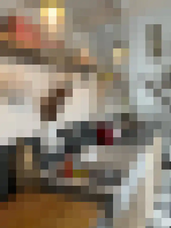 Burgwal 43 Den Burg thumbnail 12
