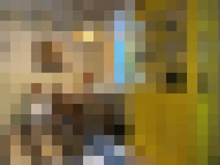 Burgwal 43 Den Burg thumbnail 13