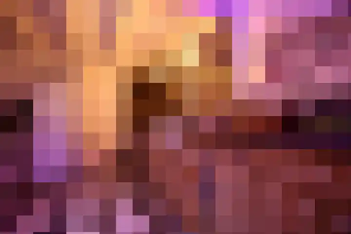 Burgwal 43 Den Burg thumbnail 16