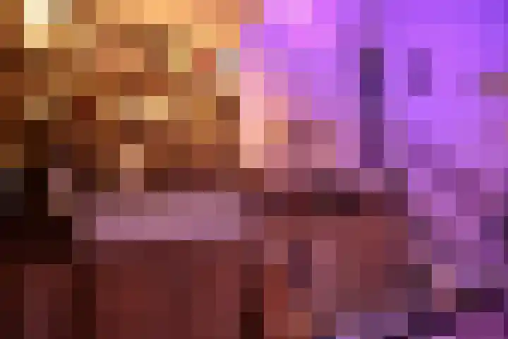 Burgwal 43 Den Burg thumbnail 17