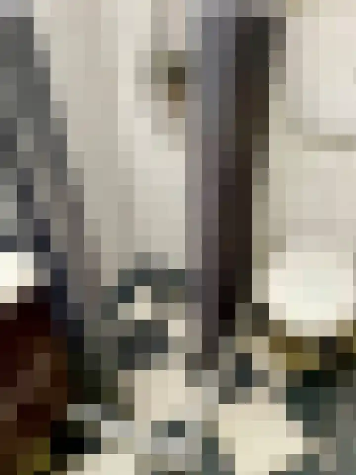 Burgwal 43 Den Burg thumbnail 19