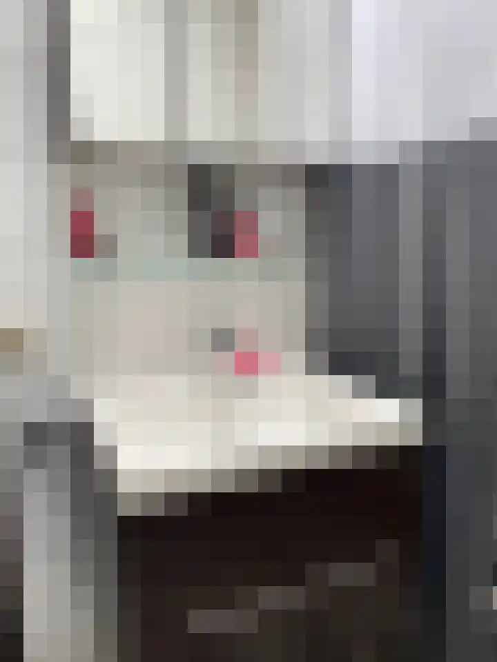 Burgwal 43 Den Burg thumbnail 20