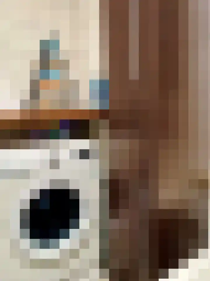 Burgwal 43 Den Burg thumbnail 21