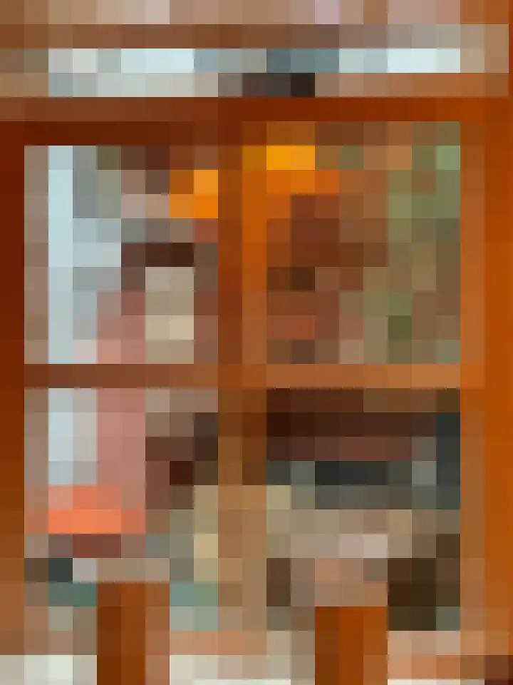 Burgwal 43 Den Burg thumbnail 23
