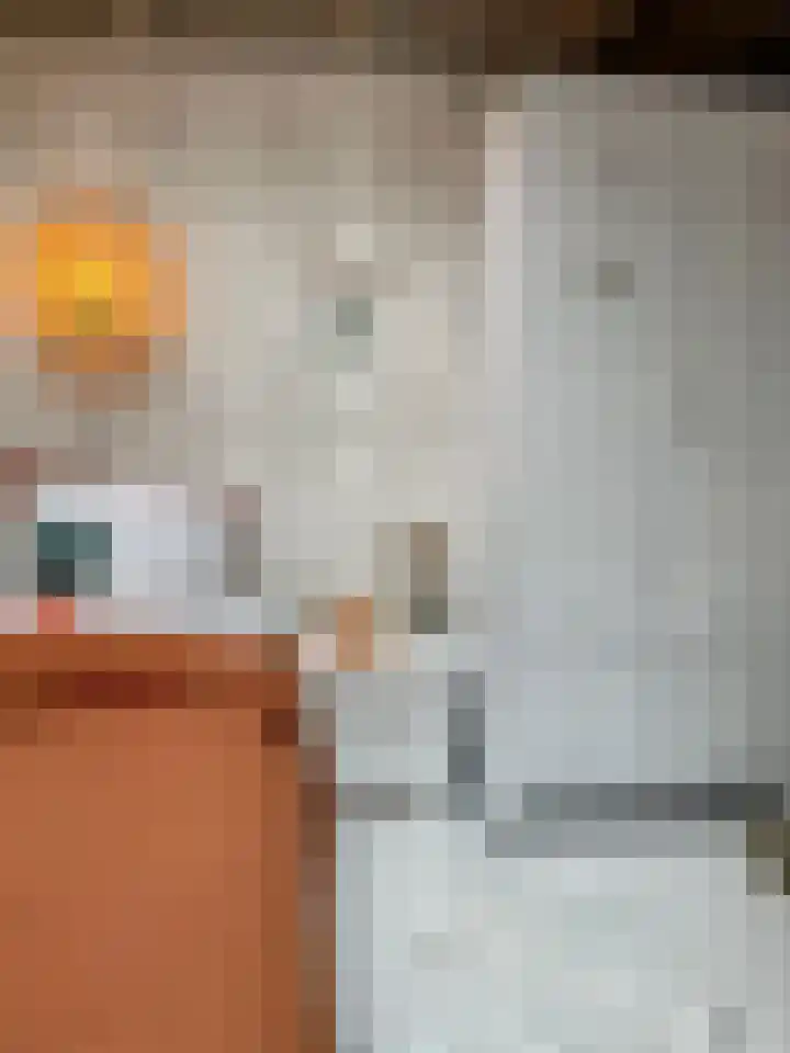 Burgwal 43 Den Burg thumbnail 24