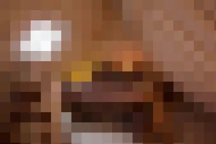 Burgwal 43 Den Burg thumbnail 29