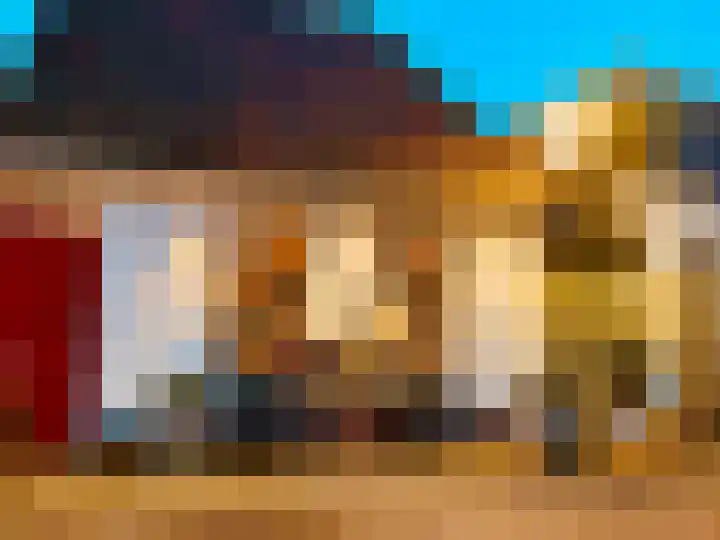 Burgwal 43 Den Burg thumbnail 30