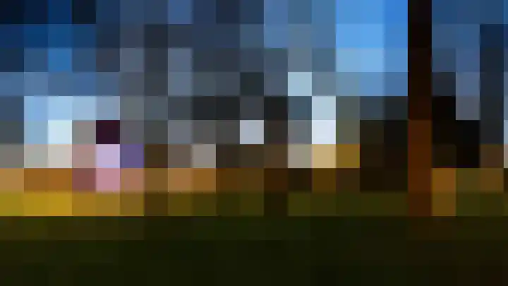 Burgwal 43 Den Burg thumbnail 32