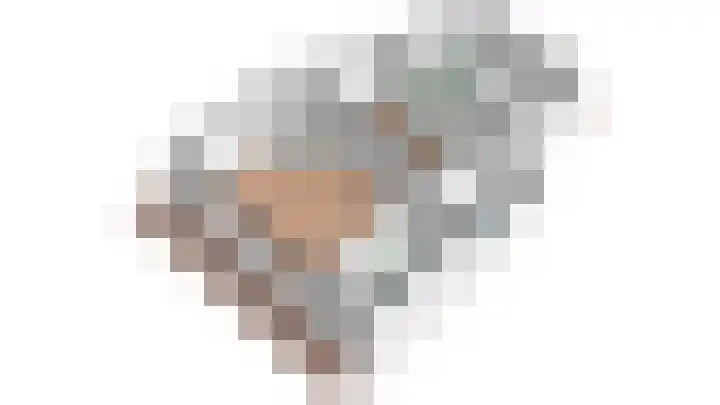 Burgwal 43 Den Burg thumbnail 34