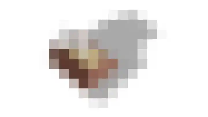 Burgwal 43 Den Burg thumbnail 37
