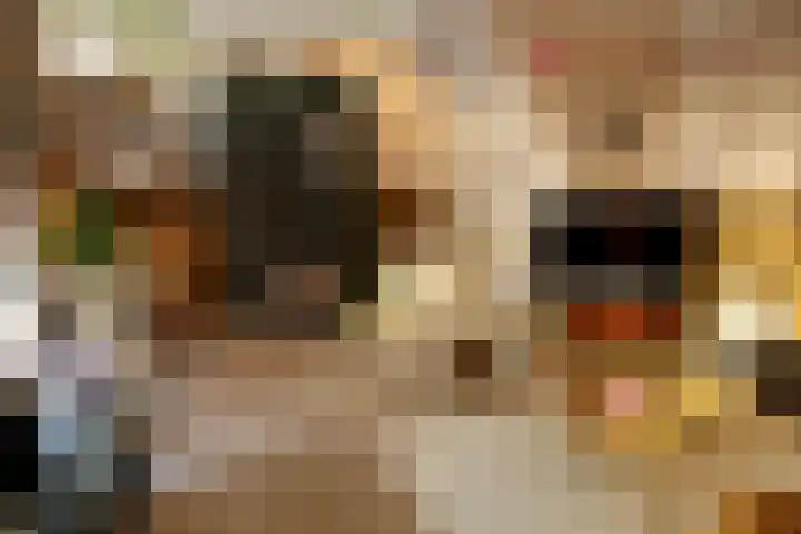 Burgwal 43 Den Burg thumbnail 6