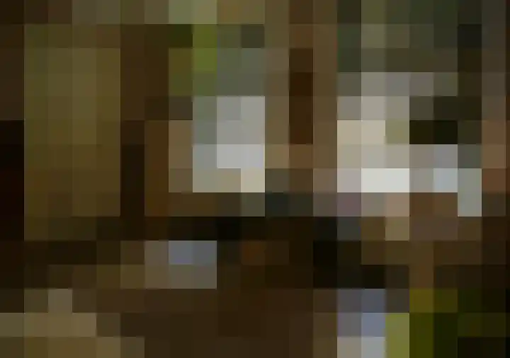 Burgwal 43 Den Burg thumbnail 7